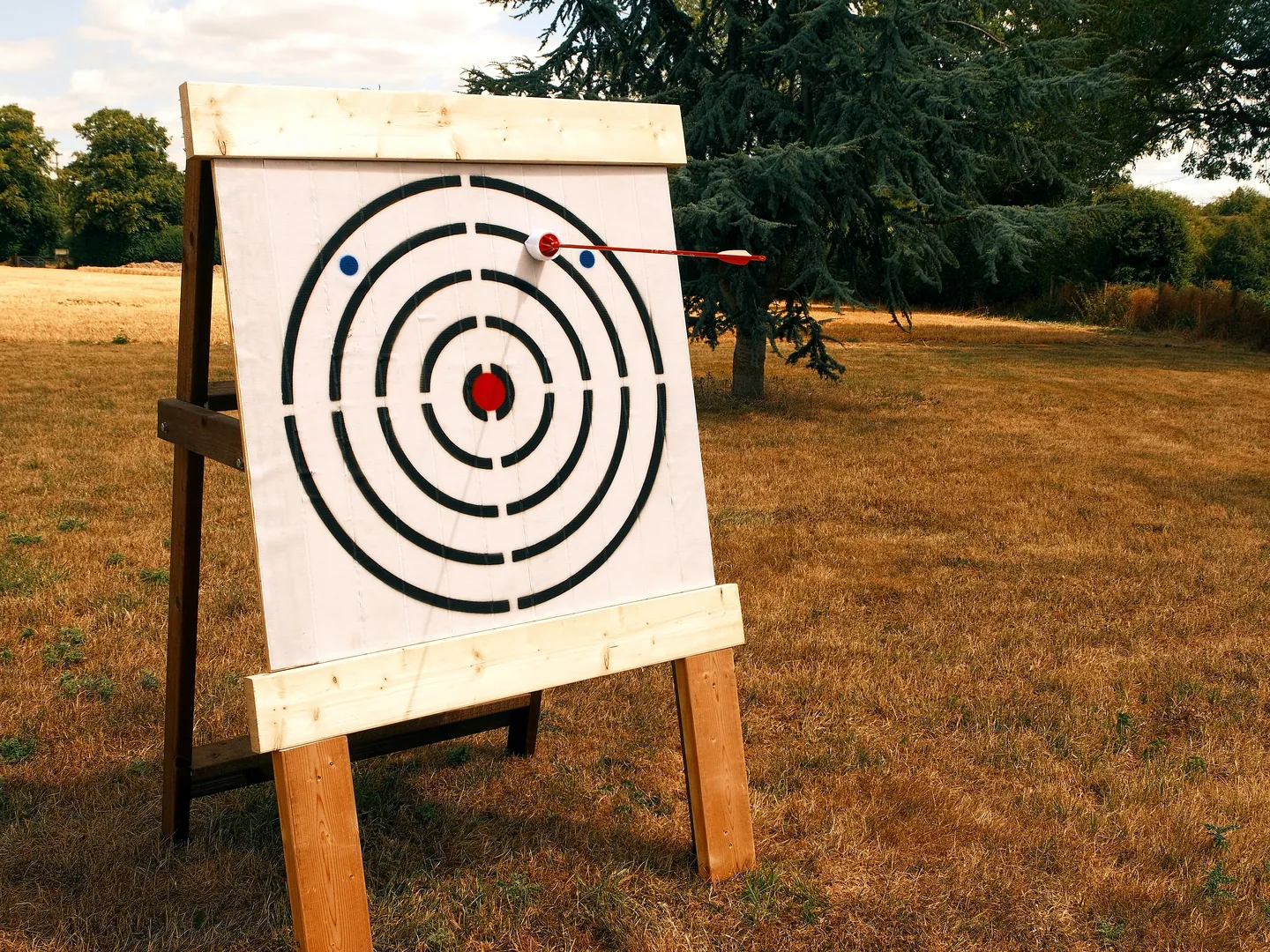 Velcro arrow attached to a target outdoors, showing the archery activity